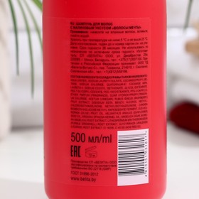 

Шампунь для волос Белита SATIN HAIR с малиновым уксусом "Волосы мечты", 500мл