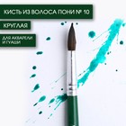 Кисть для рисования из волоса пони круглая №10 (диаметр обоймы 6 мм; длина ворса 24 мм) 7431670 - фото 137736