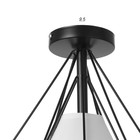 Светильник 2136/1BK E27 40 Вт черный 25×25×26.5 см BayerLux - фото 3776981 Светильник 2136/1BK E27 40 Вт черный 25×25×26.5 см BayerLux - фото 3776981