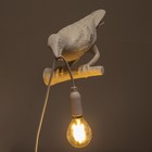 Бра 2137/1WT E14 40Вт белый 32,8х14,5х12,3 см - фото 24382258