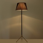 Торшер 19102/1 E27 40 Вт чёрный 45×45×165 см - фото 57958854