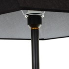 Торшер 19102/1 E27 40 Вт чёрный 45×45×165 см - фото 57958856