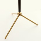 Торшер 19102/1 E27 40 Вт чёрный 45×45×165 см - фото 57958857