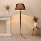 Торшер 19102/1 E27 40 Вт чёрный 45×45×165 см - фото 57958860