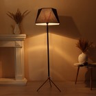 Торшер 19102/1 E27 40 Вт чёрный 45×45×165 см - фото 57958861