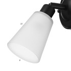 Бра 2449/1 E14 40 Вт черный - фото 5017894