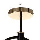 Люстра 2209/5 E27 40Вт черно-золотой 51х51х36,5 см BayerLux - фото 21579347