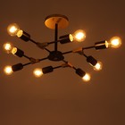 Люстра 2427// E27 40 Вт черно-бронзовый 61×61×25.5 см BayerLux - фото 42621433