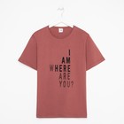 Футболка мужскаяс принтом, цвет кирпичный, размер 46 7819652