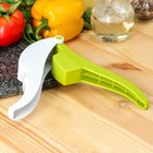 Пресс для чеснока Доляна Vegan, 19,5 см, цвет бело-зелёный - фото 24337442
