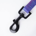 Поводок «Даже на краю света», 2 см, 1.5 м - фото 21580607