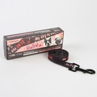 Поводок My dog is the best, 2 см, 2 м - Фото 3