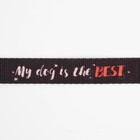 Поводок My dog is the best, 2 см, 2 м - Фото 7