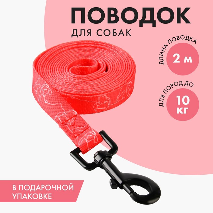 

Поводок One line, 2 см, 2 м