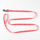 Поводок One line, 2 см, 2 м - фото 21580661