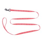 Поводок One line, 2 см, 2 м - фото 23682727