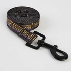 Поводок «Осторожно», 2 см, 2 м - фото 21580678