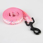 Поводок «Несу счастье», 2 см, 2 м - фото 21580687