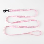 Поводок «Несу счастье», 2 см, 2 м - фото 21580689