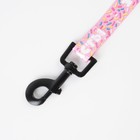 Поводок «Несу счастье», 2 см, 2 м - фото 21580691