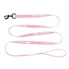 Поводок «Несу счастье», 2 см, 2 м - фото 23663967