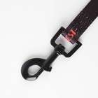 Поводок My dog is the best, 2 см, 3 м - Фото 8