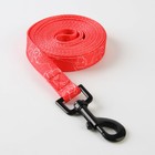 Поводок One line, 2 см, 3 м - фото 21580753