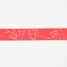 Поводок One line, 2 см, 3 м - фото 21580756