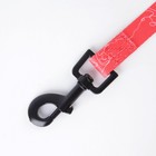 Поводок One line, 2 см, 3 м - фото 21580757