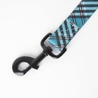 Поводок «Джентльмен», застёжка - фастекс, 2.5 см, 2 м - фото 23691136