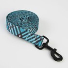 Поводок «Джентльмен», застёжка - фастекс, 2.5 см, 2 м - фото 21580820