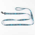 Поводок «Джентльмен», застёжка - фастекс, 2.5 см, 2 м - фото 21580822