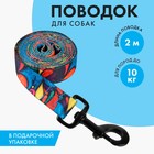 Поводок «Невозможно слиться с улицей», 2.5 см, 2 м - фото 4668617