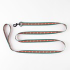 Поводок «На стиле», 2.5 см, 2 м - фото 24118219