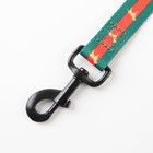 Поводок «На стиле», 2.5 см, 2 м - фото 24118221