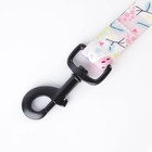 Поводок «Сочное настроение», 2.5 см, 3 м - фото 23691144