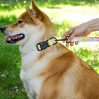 Поводок «Сочное настроение», 2.5 см, 3 м - фото 21580916