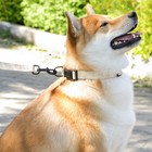 Поводок Paradise life, застёжка - фастекс, 2.5 см, 3 м - фото 21580927