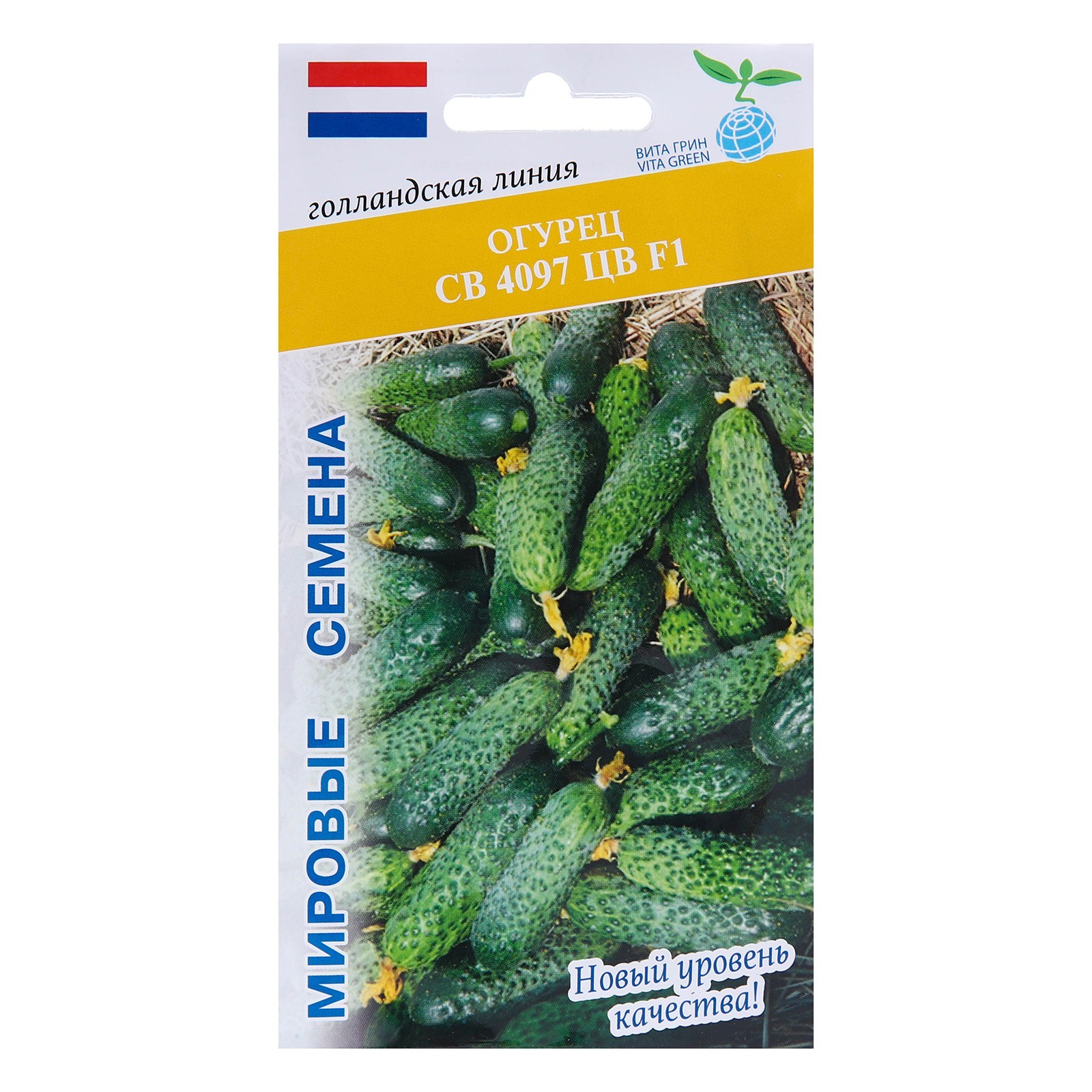 Огурец св4097цв. Огурец св 4097. Огурец sv4097cv f1( seminis) 5шт. Огурец sv4097cv f1( seminis) 5шт. Огурец 4097 f1.