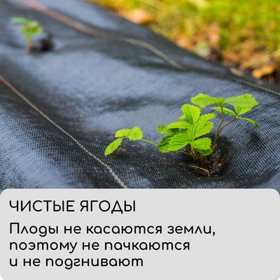 Агроткань застилочная, с разметкой, 10×1.6 м, плотность 100 г/м², полипропилен, Greengo, Эконом 50%