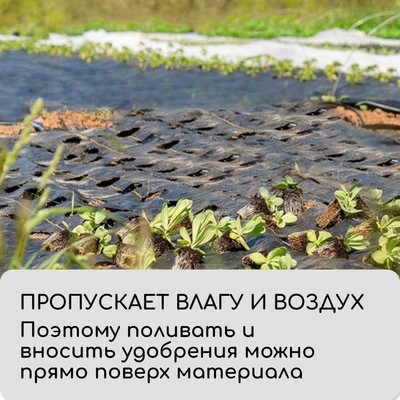 Агроткань застилочная, с разметкой, 10×1.6 м, плотность 100 г/м², полипропилен, Greengo, Эконом 50%