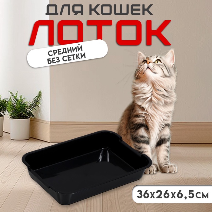 Туалет средний без сетки 36×26×6.5 см, чёрный - Фото 1
