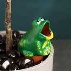 Ороситель для комнатных и садовых растений "Лягушка" Кунгурская керамика, 50мл, 4см, зелёный - фото 9814951