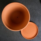 Горшок для цветов «Терра», 8 л, d=27 см, h=25 см, керамика, с поддоном, цвет терракот - Фото 2