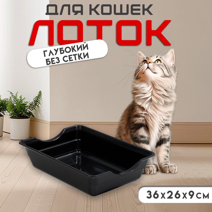 Туалет глубокий без сетки 36×26×9 см, чёрный - Фото 1