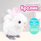 Игрушка заводная «Кролик» - Фото 1