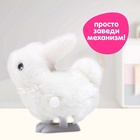 Игрушка заводная «Кролик» - Фото 5