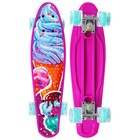 Пенниборд ONLYTOP «Мороженое», 56х16 см, колёса световые PU 60х45 мм, ABEC 7, алюминиевая подвеска - Фото 2