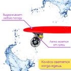 Пенниборд ONLYTOP, 56х15 см, колёса световые PU 60х45 см, алюминиевая рама, цвет красный - фото 6597012