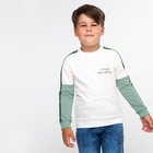 Свитшот для мальчика, цвет серо-зелёный, рост 110 см - фото 2725127